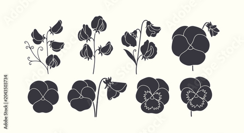 Tableau sur toile Set of Minimalist Black Floral Silhouettes Sweet Pea and Pansy Flower Botanical