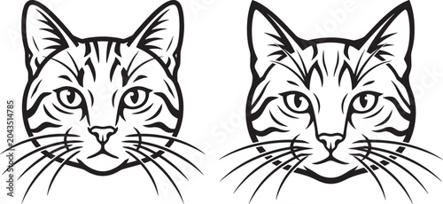 Two domestic cat heads frontal view line art illustration with illustration whiskers portrait silhouette background