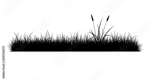Foto CAD tree lines Black grass, cattail silhouette, landscape border, vector grassla