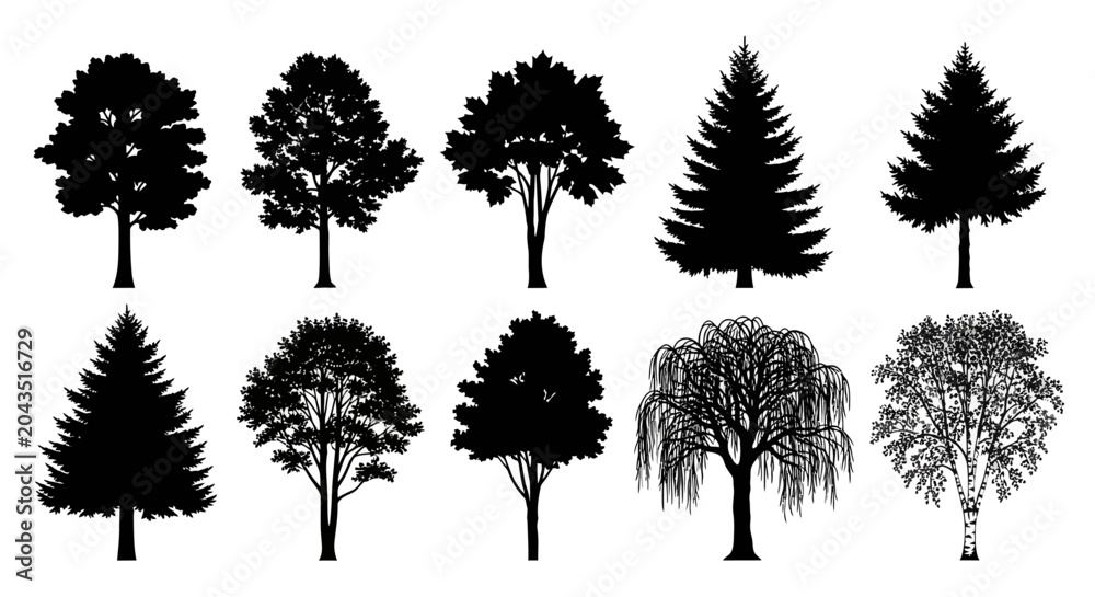 Fototapeta premium CAD tree lines Tree silhouettes, black tree icons, forest trees, vector illustrations isolated on White Background vector