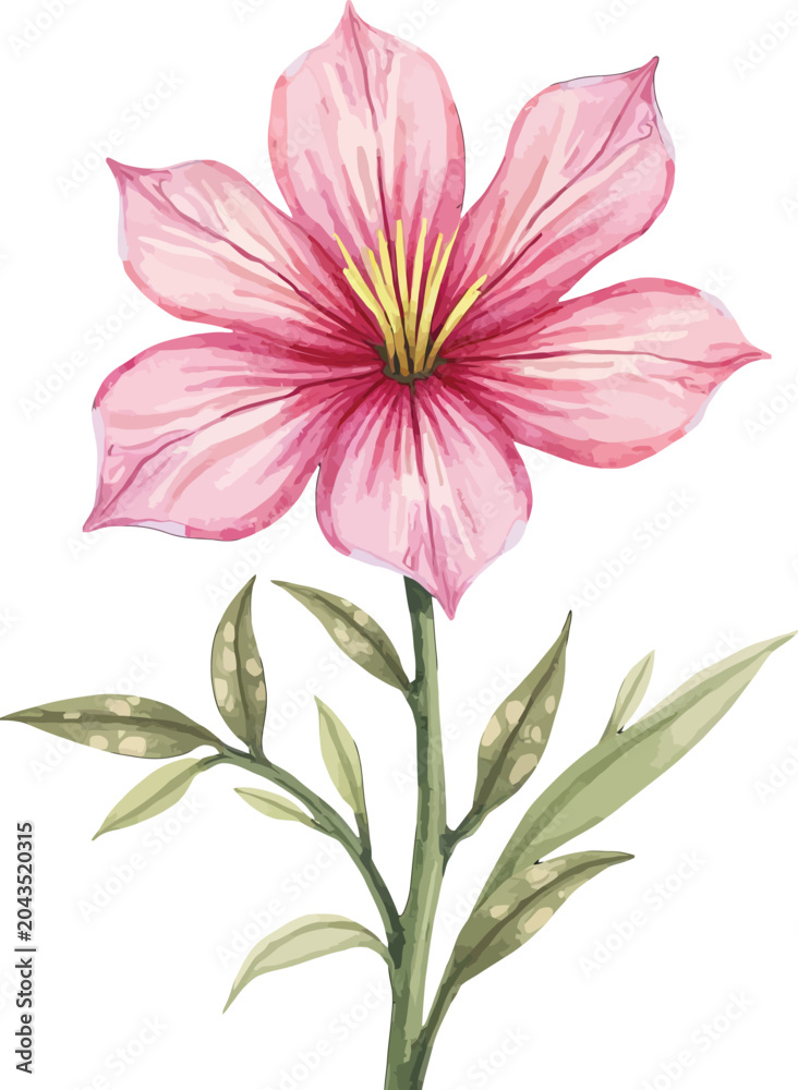 Obraz premium Pink Lily Flower with Green Stem and Leaves