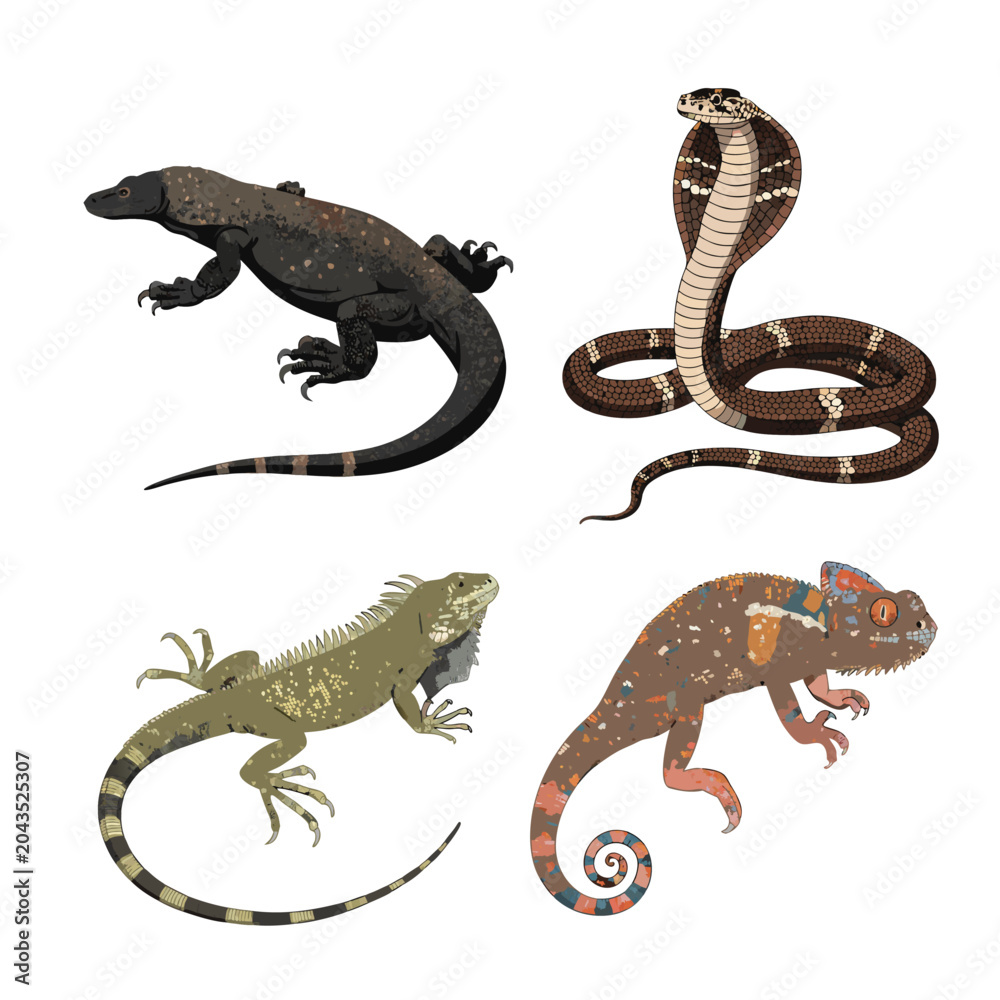 Fototapeta premium Tropical Reptiles Komodo Dragon Cobra and Chameleon Vector Set