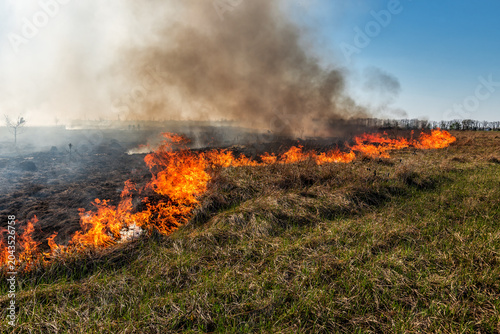 Line of fire burning through dry grass in a countryside field with thick smoke.