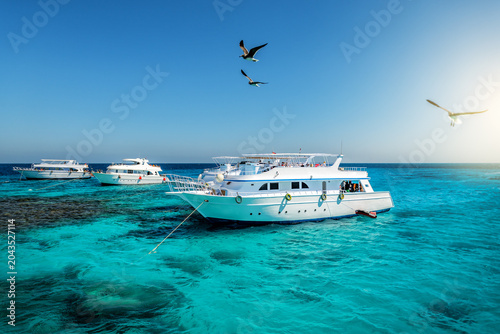 Tourist yachts anchored in clear blue sea in Egypt
