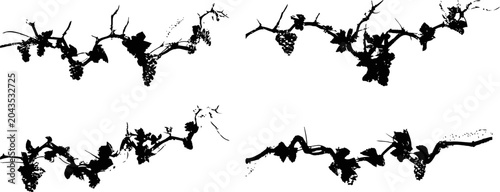 grape vine branches with leaves and clusters of grapes silhouette isolated on white background