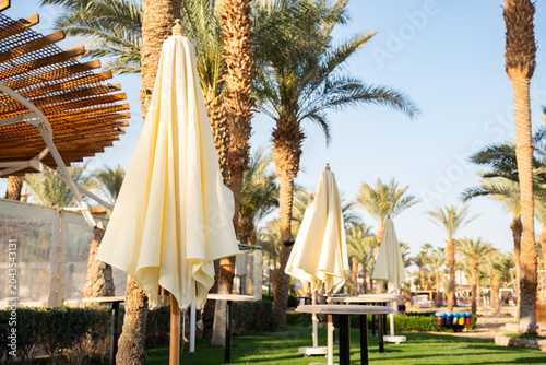 Closed beach umbrellas stand among Phoenix dactylifera date palms with tables and green lawn in a resort outdoor area. Tourism leisure vacation resort lifestyle