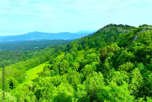 Foto Sunlight on a deciduous forest with green glade at Kras and Brkini in Notranjska