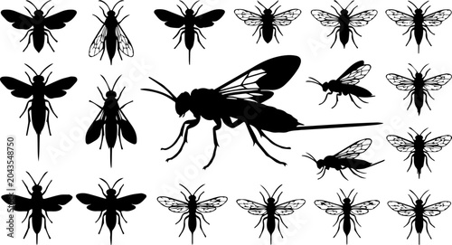 Konstfotografi Insects Bugs Flying Black Silhouette Set Vector Nature Wildlife Illustration Cli