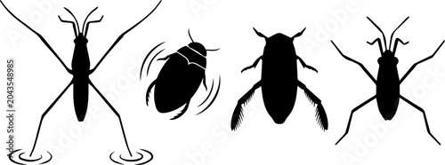 Tableau sur toile Beetle Bug Insect Black Silhouette Set Vector Wildlife Illustration Clipart Natu