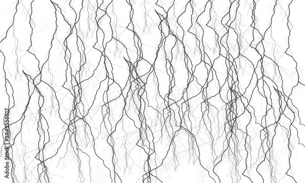 Obraz premium Black abstract tangled lines background, chaotic twisted branches pattern