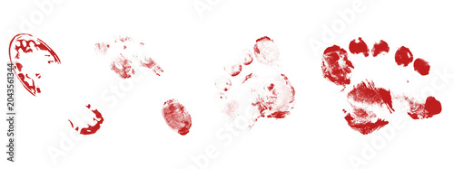 Fotografía Set of red paint prints and stains with various shapes including footprints, fingerprints, and smudges on transparent background for design elements