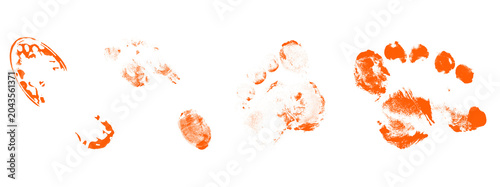 Fotografía Set of orange paint prints and stains with various shapes including footprints, fingerprints, and smudges on transparent background for design elements