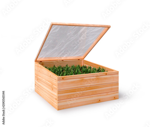 Fototapeta DIY Plant Greenhouse. An open greenhouse where carrot seedlings are growing