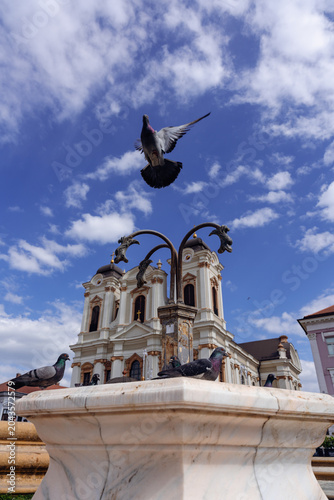 Photography monument to peter the great in moscow