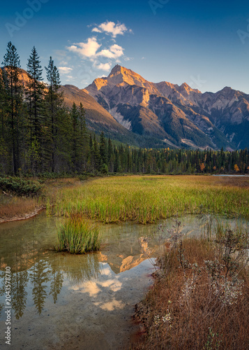 Canadian Rockies mountain peak reflecting in pristine marshland