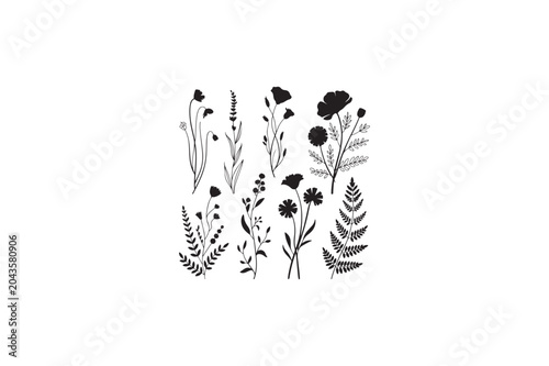 Wild flowers various style botanical foliage for wedding invitation vector image..eps