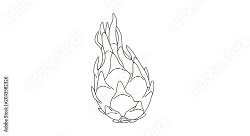 Flame Art Design Element Illustration.
