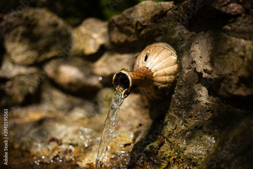 A waterfall in the forest flows from a jug.