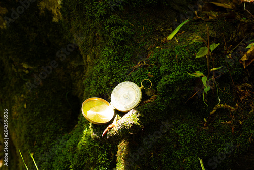 A golden compass on a moss-covered tree