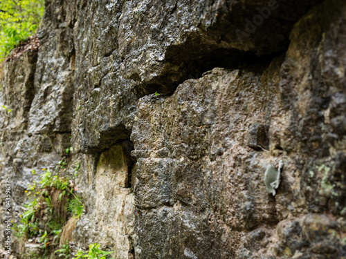 A basalt stone wall in the forest