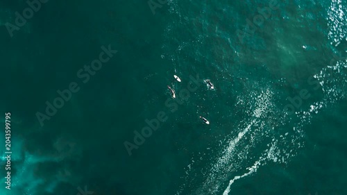 Aerial drone view of surfers, surfing paddling, duck diving, with beautiful blue collars and glass sea
