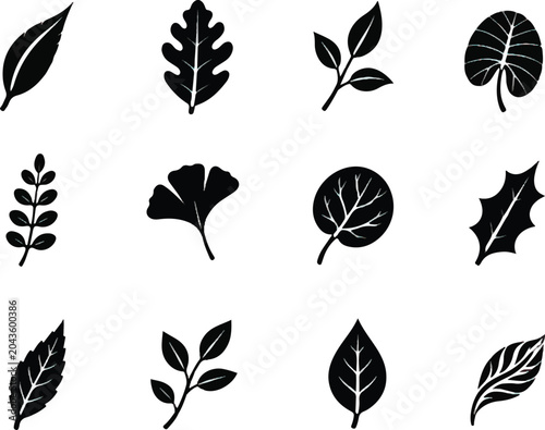 set of leaves vector