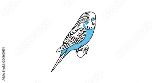 Colorful Parakeet Bird Perched Alone.