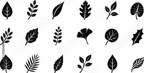 vector set of leaves silhouettes
