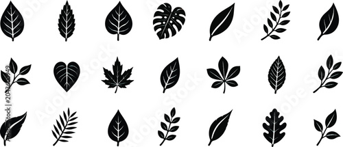 set of black silhouettes of leaves