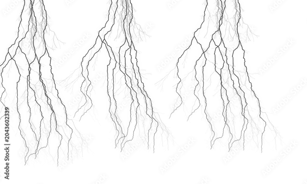 Fototapeta premium Black tangled roots or branches illustration, minimalist line art for design and decoration