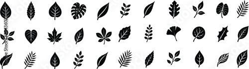 grass silhouettes vector