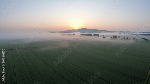 Misty Morning Over Green Fields