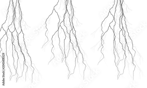 Konstfotografi Black tree roots illustration for landscape design and gardening, isolated on wh