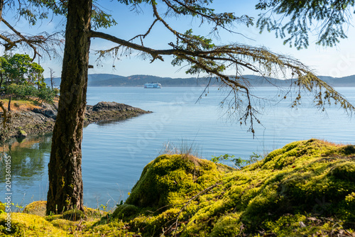 Salt Spring, Canada – May 27, 2026 - BC Ferry from Ruckle Park Salt Spring Island. A BC Ferry viewed from Ruckle Provincial Park on Salt Spring Island. British Columbia, Canada.
