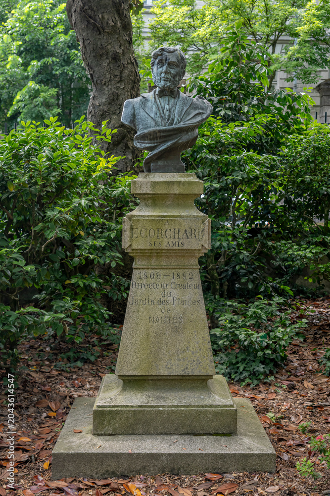 Obraz premium Nantes, France - 05 09 2026: The botanical garden. Bust sculpture of Doctor Ecorchard, creator of the Botanical Garden