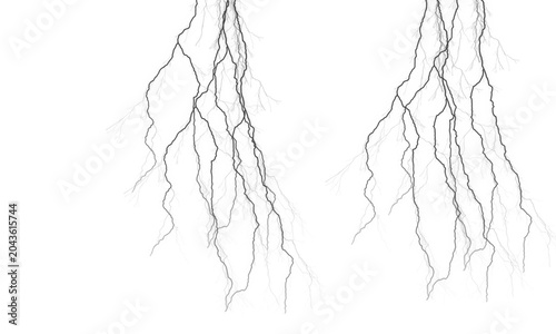 Tableau sur toile Gray roots or branches illustration, isolated on white background