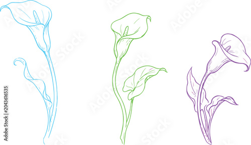 Foto calla lily flowers line art flower botanical