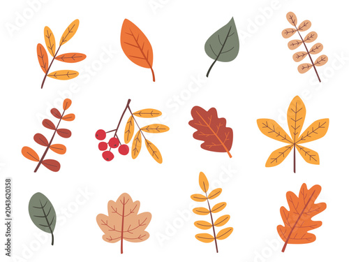 Set of autumn leaves, fallen leaves, hand drawn vector illustration