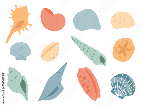 Set of varios seashells. Flat hand drawn icons elements collection
