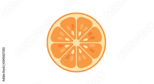 Fotografie orange slice cross section vector illustration