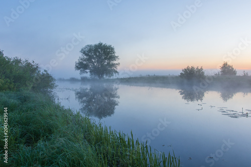 Quadro su tela A serene landscape at dawn featuring a calm river reflecting a solitary large tree