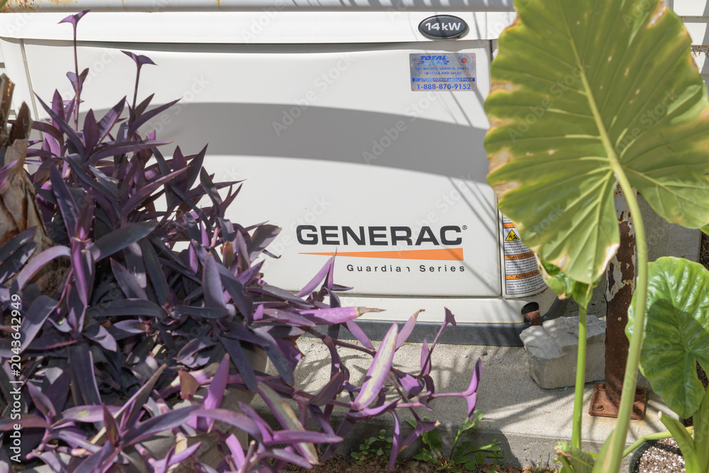 Naklejka premium old Generac Guardian Series, an automatic home standby generator with plants, Toronto