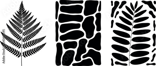 Fotografía Black silhouettes of a detailed fern leaf a rectangular block pattern and a pinn