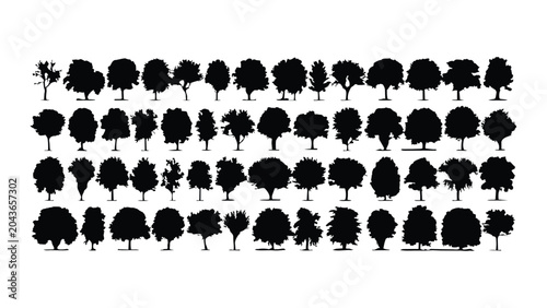 Foto Set of black tree silhouettes isolated on transparent background, detailed vector illustration