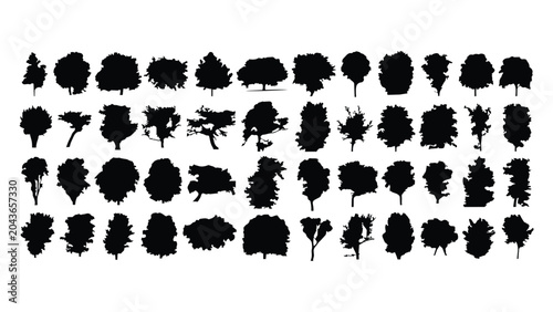Schilderij op canvas Set of black tree silhouettes isolated on transparent background, detailed vector illustration