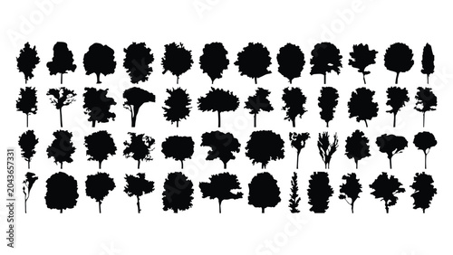 Tableau sur toile Set of black tree silhouettes isolated on transparent background, detailed vector illustration