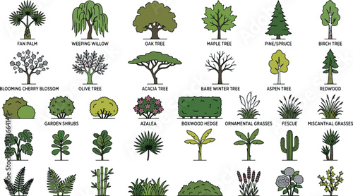 Diverse collection of botanical garden trees shrubs ornamental grasses and desert plants flat outline icons set vector illustration
