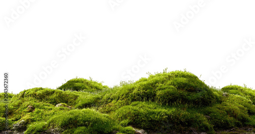 Принти на полотні Verdant Hill Blooming with Yellow Flowers in Spring