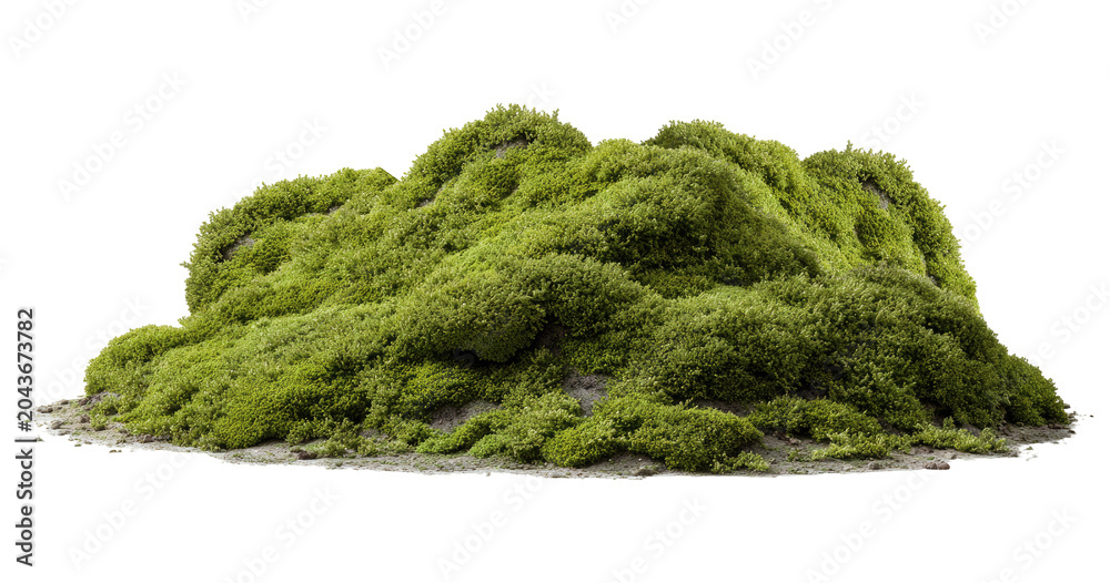 Fototapeta premium Lush green moss mound, isolated on transparent background