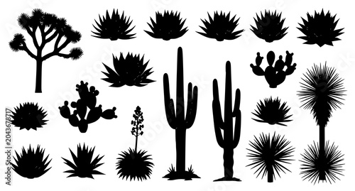 Fotografie Southwest Desert Plant Silhouettes with Joshua Trees Cactus and Agave Vector Ill